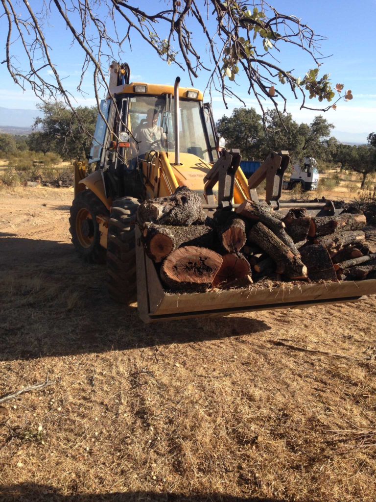 Trabajos y desbroces en extremadura