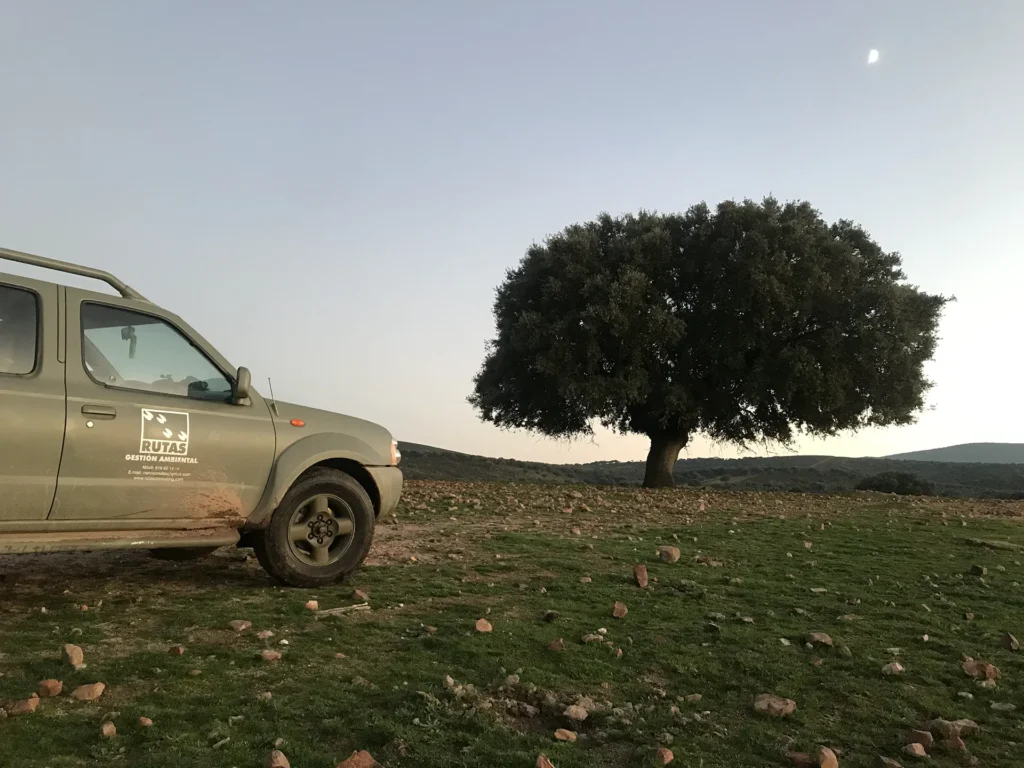 Todoterreno junto a encina en paisaje de campo dehesa, grupo rutas, monterías en Extremadura