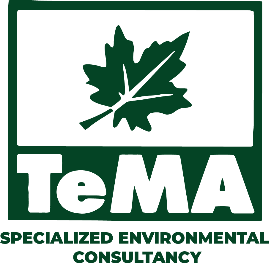 consultoría medio ambiente