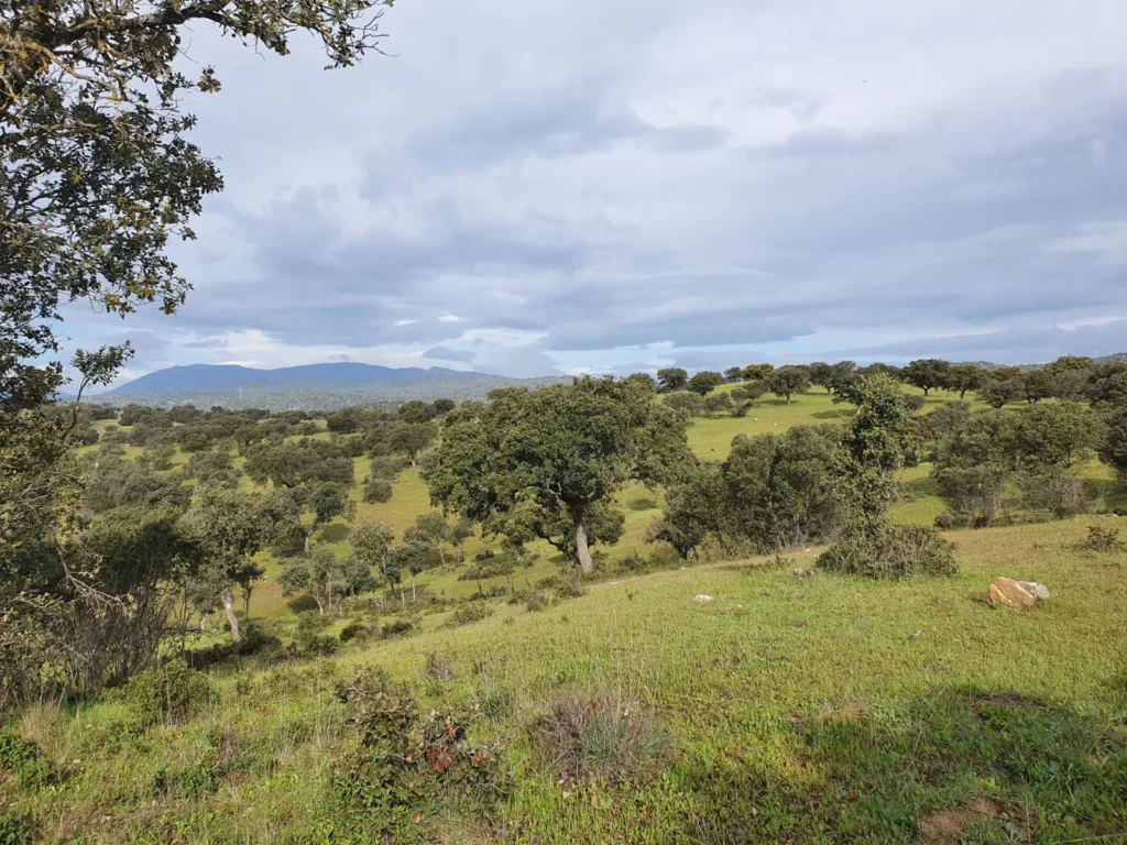 Venta y gestión de fincas en España
